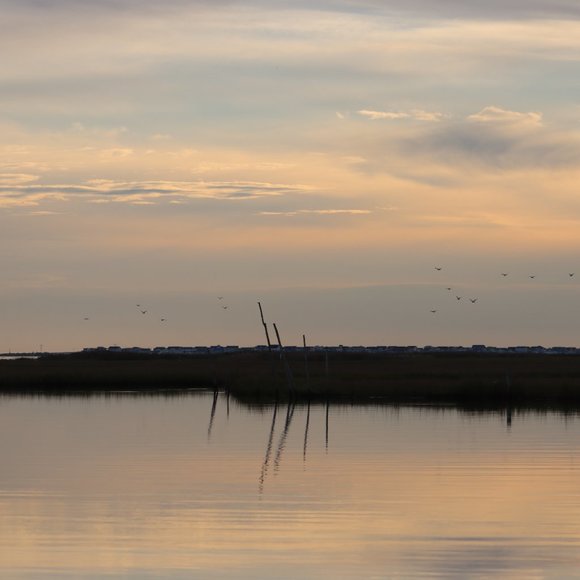 Meet your Posher, Cherice - Picture 8 of 10